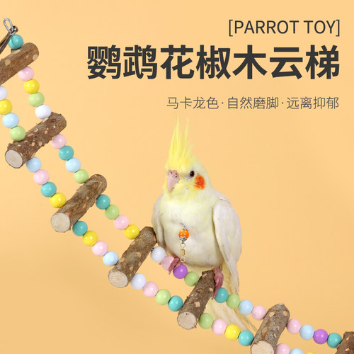 云梯牡丹虎皮鹦鹉爬梯秋