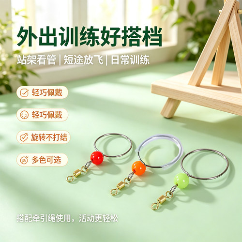 鹦鹉脖套不锈钢训练脖套虎皮玄凤牡丹遛鸟放飞拴鸟链子鸟用品大全