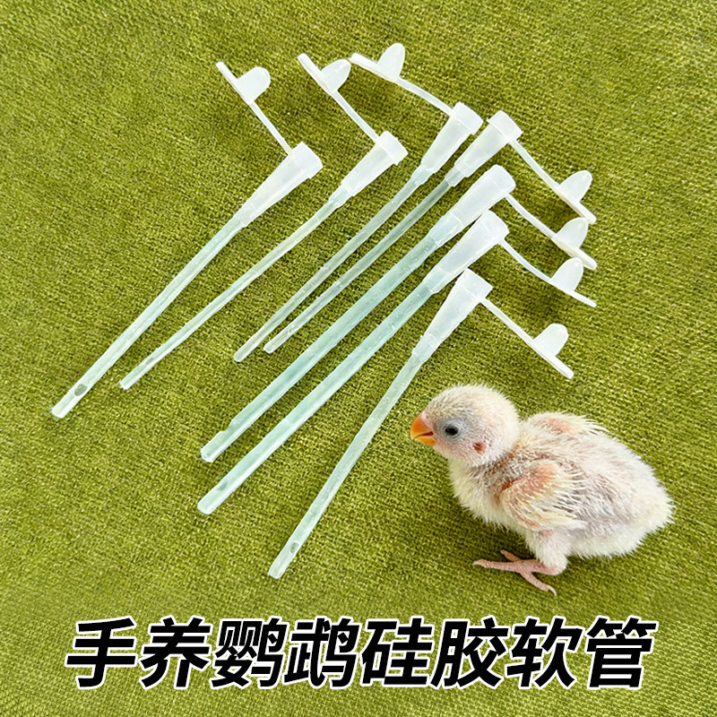 手养鹦鹉鸟类雏鸟喂奶喂药喂食硅胶软管不伤鸟虎皮牡丹喂食用品