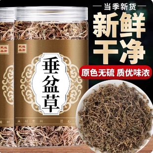 垂盆草中药材500g云南野生干货中药特级无硫狗牙草泡水泡茶锤盆草