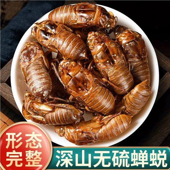 蝉蜕500g克蝉衣新货金蝉衣蝉壳知了皮知了壳虫退蝉退壳中药材野生