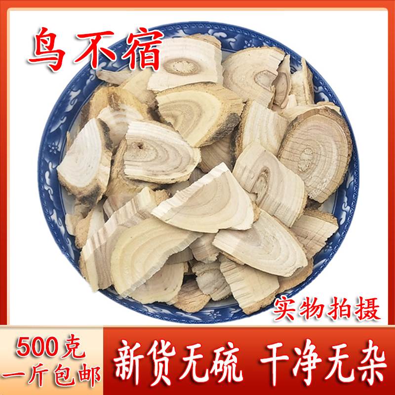 鸟不宿中药材 野生 鹰不泊 楤木根 葱木 鸟不落 新货500g克包邮