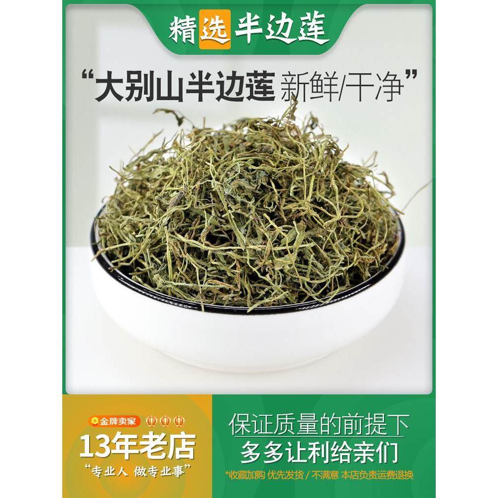 半边莲草药中药材正品半边连新鲜干货瓜仁草急解索细米草非野生