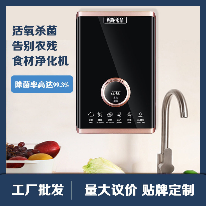 量大优惠会销果蔬消毒机果食材净化去农残多功能净化机清洗机