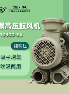3KW防爆高压风机（漩涡气泵）GL710300-EX 高压漩涡气泵