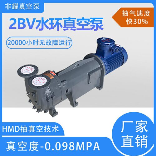 除臭除烟专用2BV水环真空泵不锈钢高真空杭州真空泵非耀