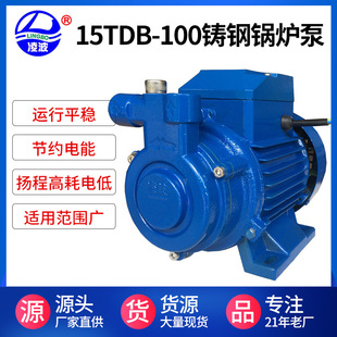 100铸钢耐高温高压旋涡式 阳春凌波牌15TDB 锅炉供水泵家用增压泵