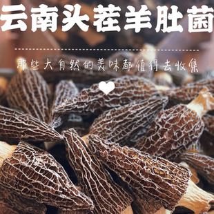 彩云之珍 25年新货羊肚菌 精选头茬 云南干货菌菇特产 煲汤炖汤材