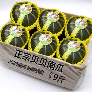 新2023正宗贝贝南瓜板栗老南瓜甜糯婴儿小南瓜新鲜包邮宝宝辅食