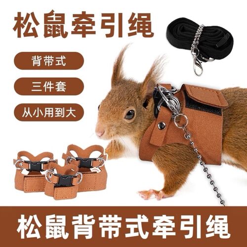 松鼠专用牵引绳抱婴袋链子花枝鼠小宠绳子脖绳溜绳外出宠物用品大