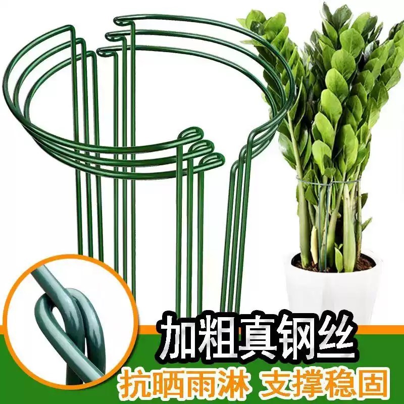 金钱树支撑杆花架绣球龟背竹天堂鸟花支撑架植物固定防倒伏支架
