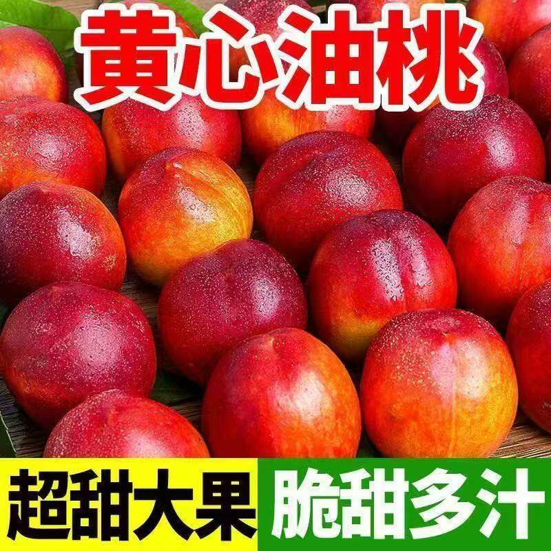 新鲜油桃山东沂蒙山黄心大油桃新鲜水果黄金桃子脆软多汁桃