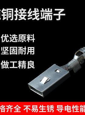 DJ6228A-E9.51.2E/9.5mm汽车插簧端子 大电流大功率接线铜端子