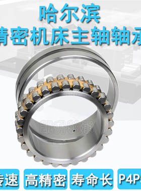哈尔滨机床主轴轴承 NN3038 N3040 N3044 KP5 4/W33
