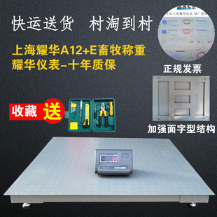 正品上海耀华仪表电子地磅秤1-3吨地磅称1-5T高精度平台秤小地磅