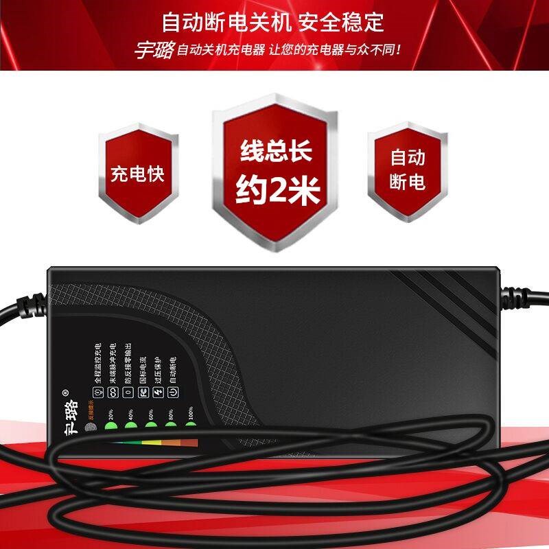 天能电池电动车自动关机电瓶充电器48V12AH60V72V20AH32A通用原装