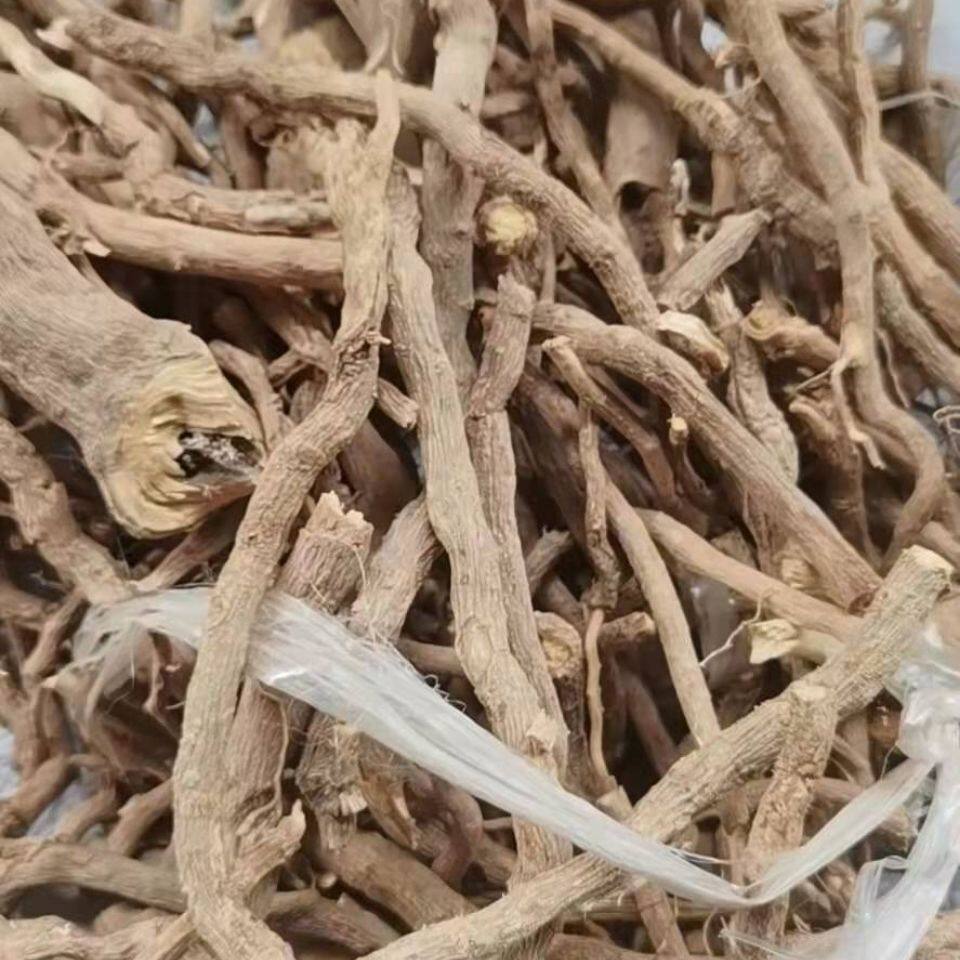 正品纯根黄花倒水莲 黄花远志 倒吊黄 观音串树根干货切片 500克