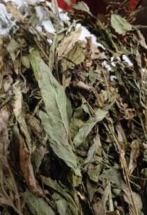 自晒原味干货泽兰 尖尾枫 佩兰 细叶珠珠草 250克