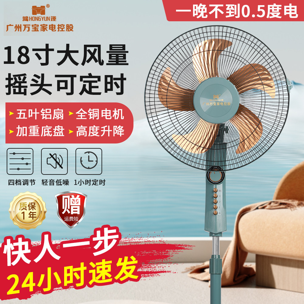 万宝电风扇18寸落地扇家用定时摇头大风可吹13米立式落地式电风扇