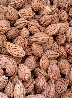 新毛桃种子山桃种子毛桃核野毛桃树种子嫁接梅花砧木山杏种桃胡籽