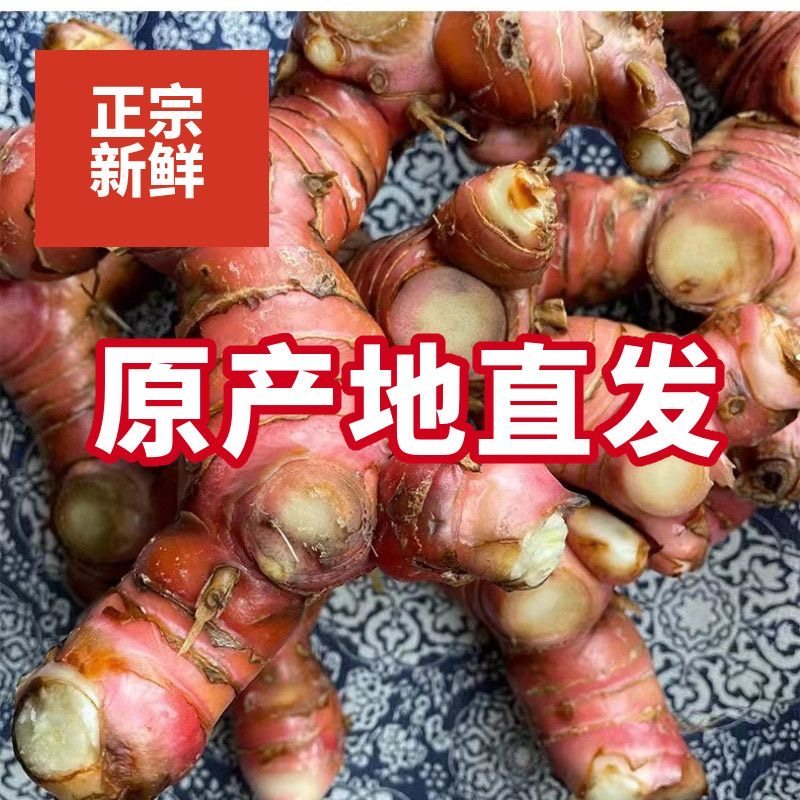 广西大明山红皮南姜新鲜野生山姜头牛羊肉火锅卤味去膻配料调料,水产肉类/新鲜蔬果/熟食,生姜/南姜,淘宝优惠券,粉丝福利购,淘宝优惠卷