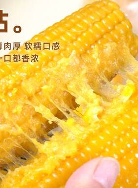 东北新鲜黏玉米非转基因真空包装