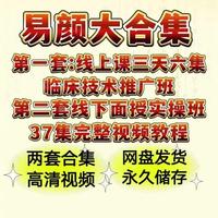 易颜---易颜特技针法 经络平衡疗法 线下实操面授班 全套高清视频