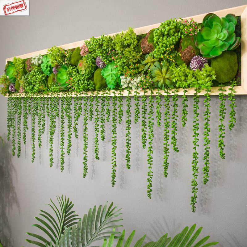 多肉植物墙饰价格 多肉植物墙饰图片 星期三