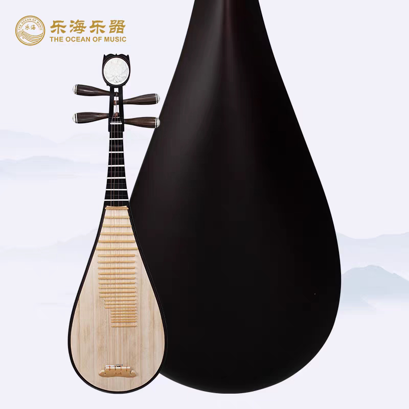 乐海琵琶乐器初学入门