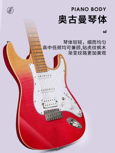 斗牛士D-210电吉他套装专业级