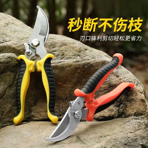 花剪枝园艺剪刀修枝剪省力修剪树枝果树竹签园林花卉专用花艺剪子