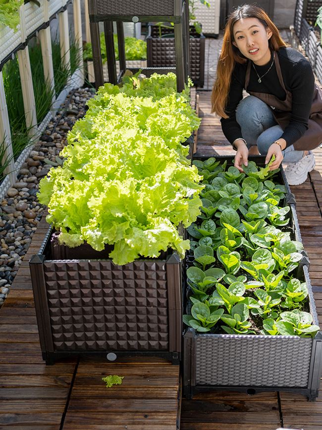 阳台种植箱长方形塑料花盆家庭屋顶菜园特大组合园艺种菜盆种植槽 Www Wnsq Net