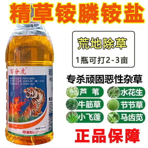 百分虎精草铵膦铵盐除草剂荒地果园草铵膦恶性杂草牛筋草小飞蓬
