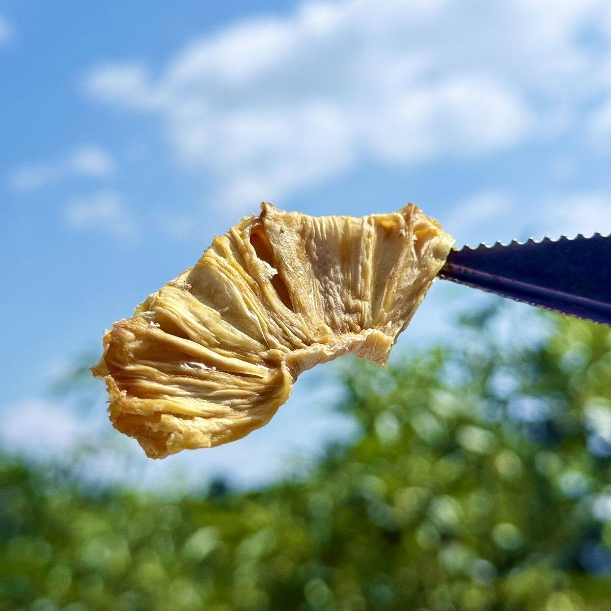 四川原味菠萝干手工新鲜小零食烘干酸甜凤梨干片泡水喝孕妇水果干