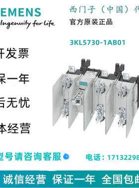 西门子3KL5730-1AB01带熔断器的负载隔离开关 3KL57301AB01