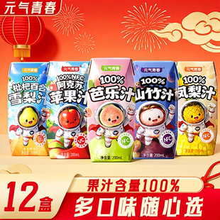 新品 气青春100%山竹汁芭乐汁苹果汁山楂汁雪梨12盒NFC饮料 升级元