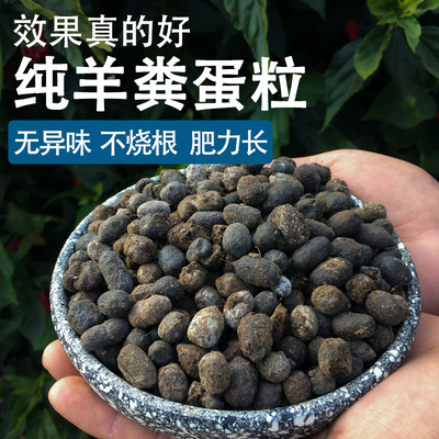 羊粪发酵有机肥颗粒羊粪蛋粉末肥