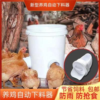 鸡用喂料器家禽自动喂食器鸡料筒鸡用饲料桶鸡用喂料桶下料神器