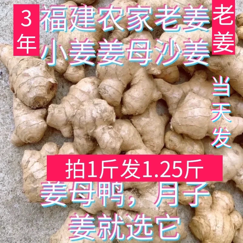 老姜小黄姜农家沙姜母老姜月子姜