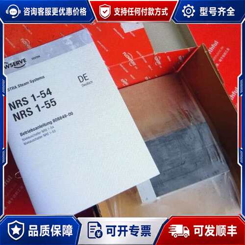 议价GESTRA NRS 1-55 杰斯特拉液位控制器 FL可维修