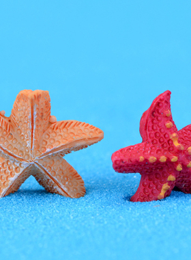 微景观海景造景公仔树脂动物小摆件 创意diy摄影可爱五角海星装饰