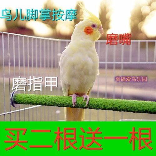 不锈钢磨爪棒价格 不锈钢磨爪棒图片 星期三 不锈钢磨爪棒价格 不锈钢磨爪棒图片 星期三