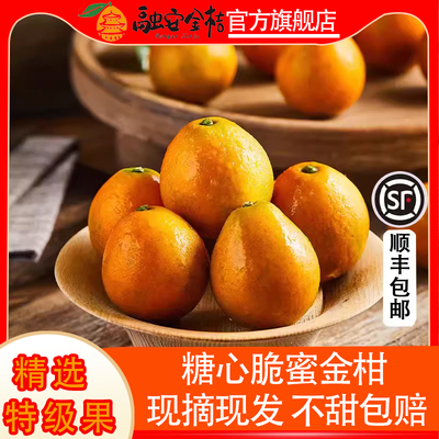 融安金桔脆蜜金柑当季新鲜水果