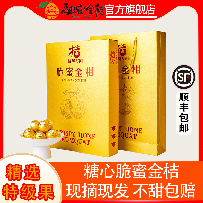 广西融安金桔正宗脆蜜金柑水果脆蜜金桔第三代大金桔巧克力包装