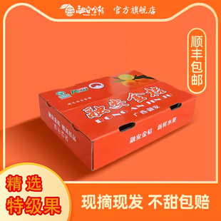 广西融安滑皮金桔5斤薄皮脆甜蜜桔当季新鲜水果产地直发超甜可口