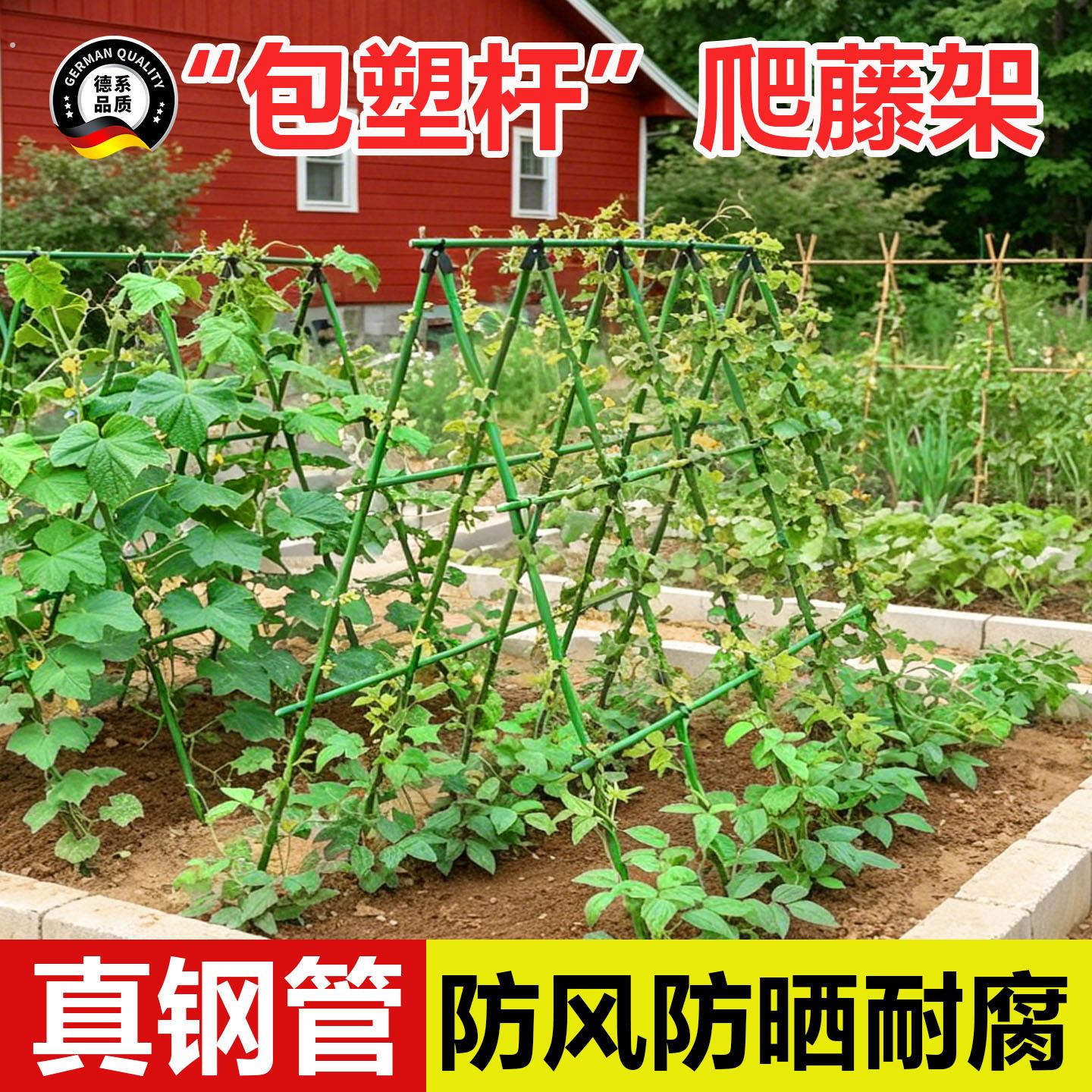 黄瓜爬藤架四季豆角架杆蔬菜棚番茄架种菜农用拱棚搭架子种植