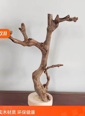 鹦鹉站杆树枝带底托摆件茶几手工把玩首饰实木小鸟儿专用落地站架