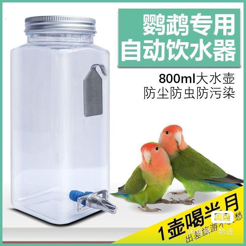 喂鸟食器鸽子自动鸟用饮水器鹦鹉芦丁鸡宠物挂式防撒防溅鸟食盒
