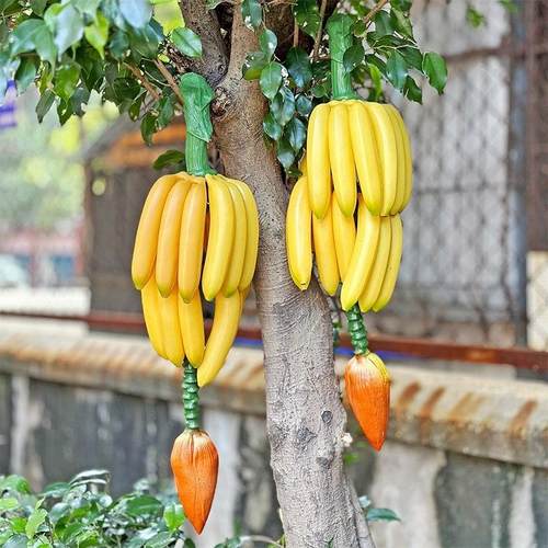 塑料仿真芭蕉香蕉串树模型假水果橱房家居装饰摆挂件摄影道具玩具