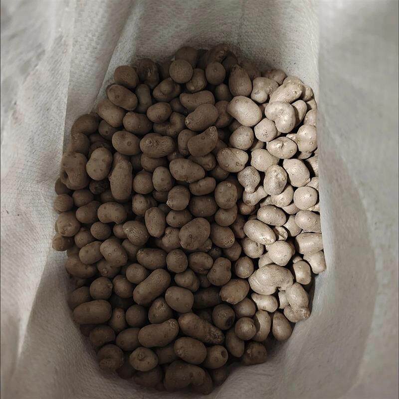 新鲜山药豆焦作温县怀山药垆淮山药豆蔬菜铁棍山药豆